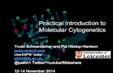 In situ hybridization methods and techniques course slides Pat Heslop-Harrison