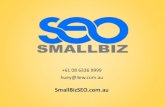 SmallBiz SEO Brand Establisher PowerPoint