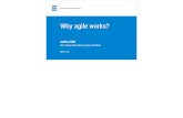 Why agile works