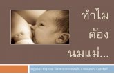 Breastfeeding paeng(revised)