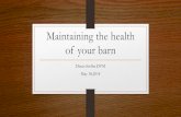 Maintaining the health of your barn