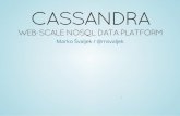 Cassandra, web scale no sql data platform