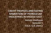 Credit profile and rating migration of petroleum industries in middle east
