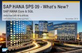 SAP HANA SPS09 - SAP HANA Core & SQL