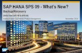 SAP HANA SPS09 - Backup and Recovery