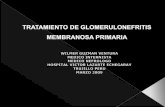 Tratamiento Glomerulonefritis Membranosa