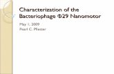 Characterization of the phi29 Bacteriophage Nanomotor