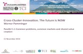 TCI 2014 Cross-Cluster-Innovation. The future is NOW