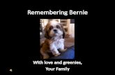 Remembering  Bernie    Copy (2)