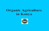 Organic agriculture in konya