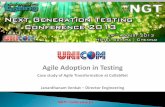 Agile Adoption in Testing 2013 - v2