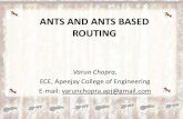 Ants and ants based routing