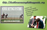 Easy to understand horse racing betting terms