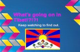 Save Tibet! 2.0