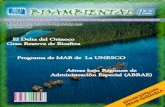 Revista ambiental (1)