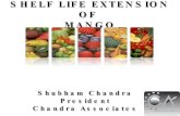 Mango Shelf Life Testing
