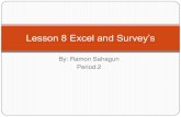 Lesson 8 excel and survey’s