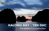 Cruise Halong Bay, visit Yen Duc village