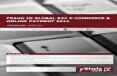 Product Brochure_Fraud in Global B2C E-Commerce and Online Payment 2014