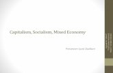Capitalism, Socialism, Mixed EconomyCapitalism, socialism