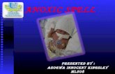 Anoxic spell by asogwa innocent kingsley