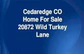 Cedaredge CO Home For Sale 20872 Wild Turkey Lane