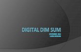 Digital Dim Sum