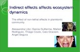 Indirect effects affects ecosystem dynamics