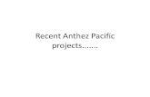 Recent Anthez Pacific Projects