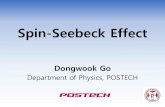 Spin-Seeback Effect: a review