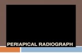Periapical radiograph