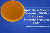 Oprtic1.nerve sheath