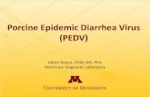 Dr. Albert Rovira - Diagnostic View of Porcine Epidemic Diarrhea Virus