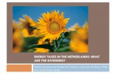 Análisis del Impuesto a la Energía en Holanda de 1996