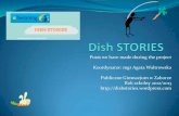Dish stories