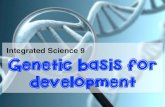 Genetic basis for development
