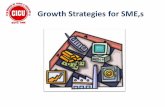Growth Stratagies for SME,s