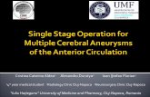 Single Stage Operation for Multiple Cerebral Aneurysms of the Anterior Circulation