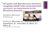 Session 6.6 oil palm & agroforestry systems, brazilian amazon