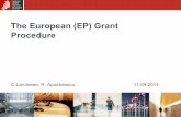 The European (EP) grant procedure