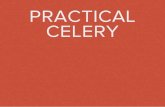 Practical Celery