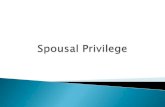 Spousal privilege 112613 v2
