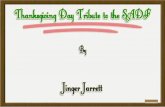 Thanksgiving Day Tribute to the SADF