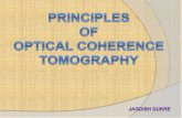 Principles of optical coherence tomography