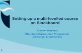 How to use Blackboard to simultanously cater for different learner backgrounds in computer skills
