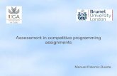 Assessment in programming competitive assignments