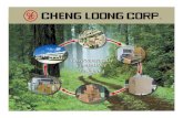 Cheng Loong Corp It