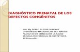 Diagnostico prenatal  de los defectos congenitos