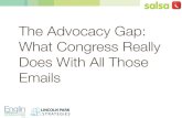 Advocacy Gap - Big Picture