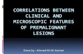 Correlations between clinical and microscopic features of premalignant